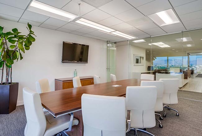 Modern conference room with a long wooden table, eight white chairs, a wall-mounted TV, glass walls, a potted plant, and a city view through large windows in the background.