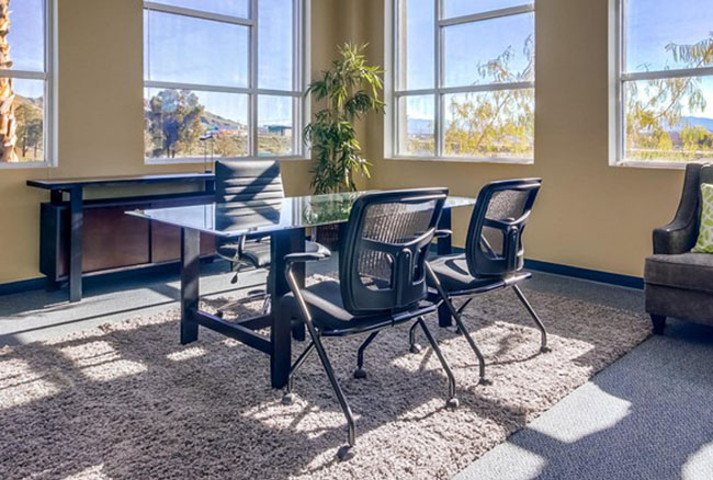 Modern office with a glass desk, three black chairs, a side table, a potted plant, and large windows letting in natural light. A gray armchair sits in the corner on a textured rug.